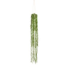 Tillandsia 120 cm