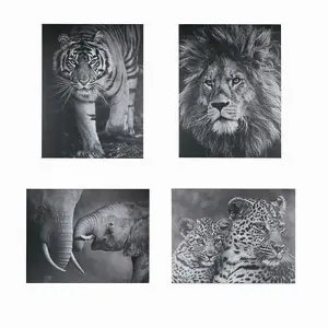 Hogewoning Wall Deco Dibond Frame 4ass.78cm Assorted 4 var.