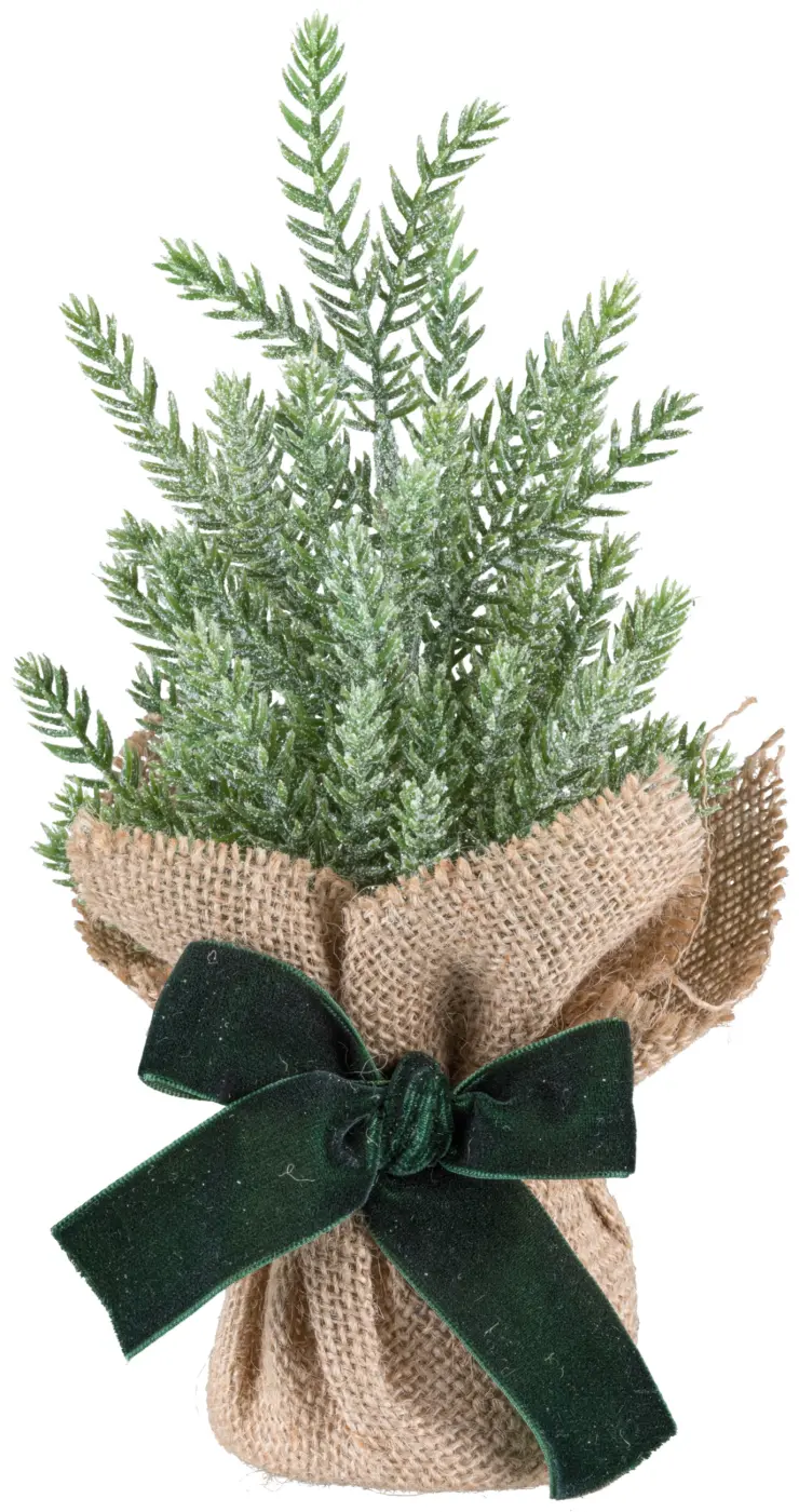 Gasper Koniferenbäumchen im Jutesack 27 cm mit Schleife grün