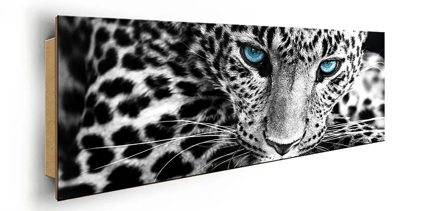 ars graphica Slim-Panel - Slim-Panel: In the jungle