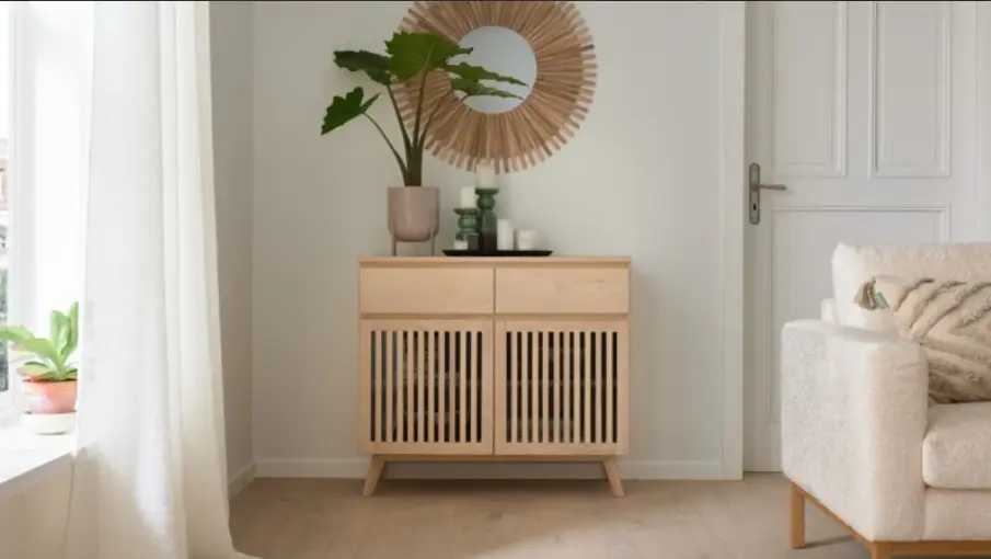 Roomio No. 2000 Sideboard Esche ca. 90x80x40 cm