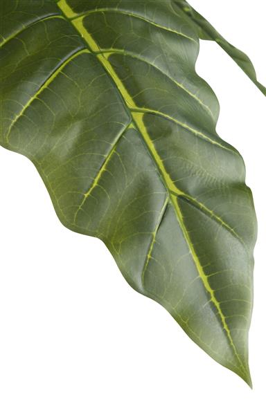 Alocasia Giant Tree H180cm Kunstpflanze