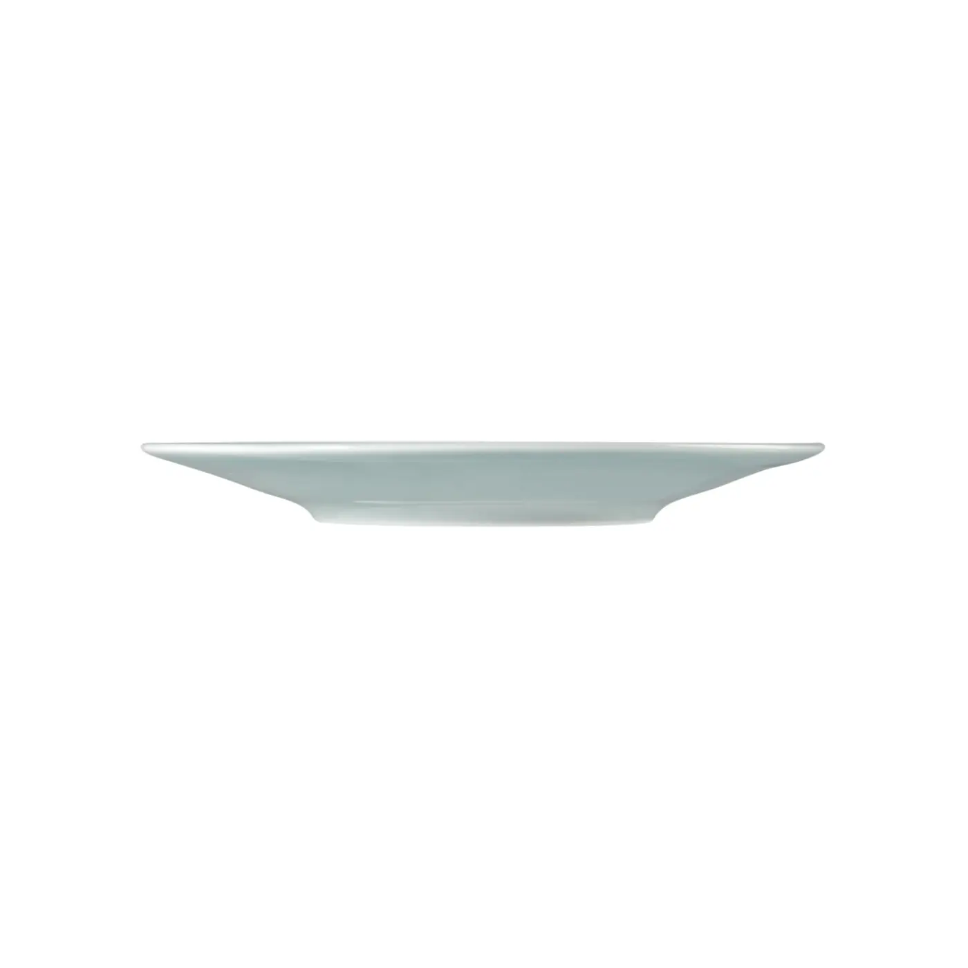 Seltmann Kombi-Untertasse groß 16,5 cm