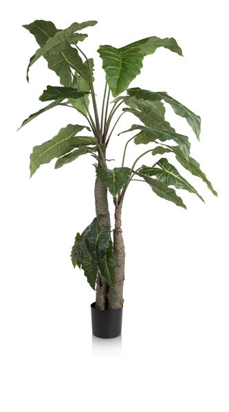 Alocasia Giant Tree H180cm Kunstpflanze