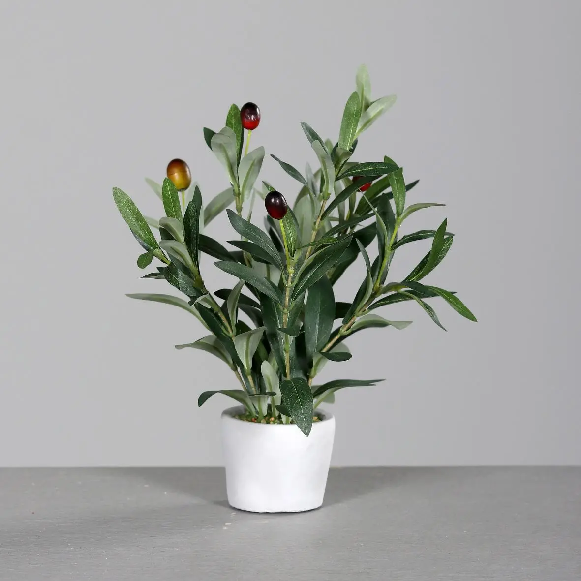 DPI Olivenbaum Mini im Steintopf 28 cm 
