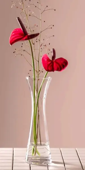 Leonardo Solifleurvase Gia Glas 25 cm