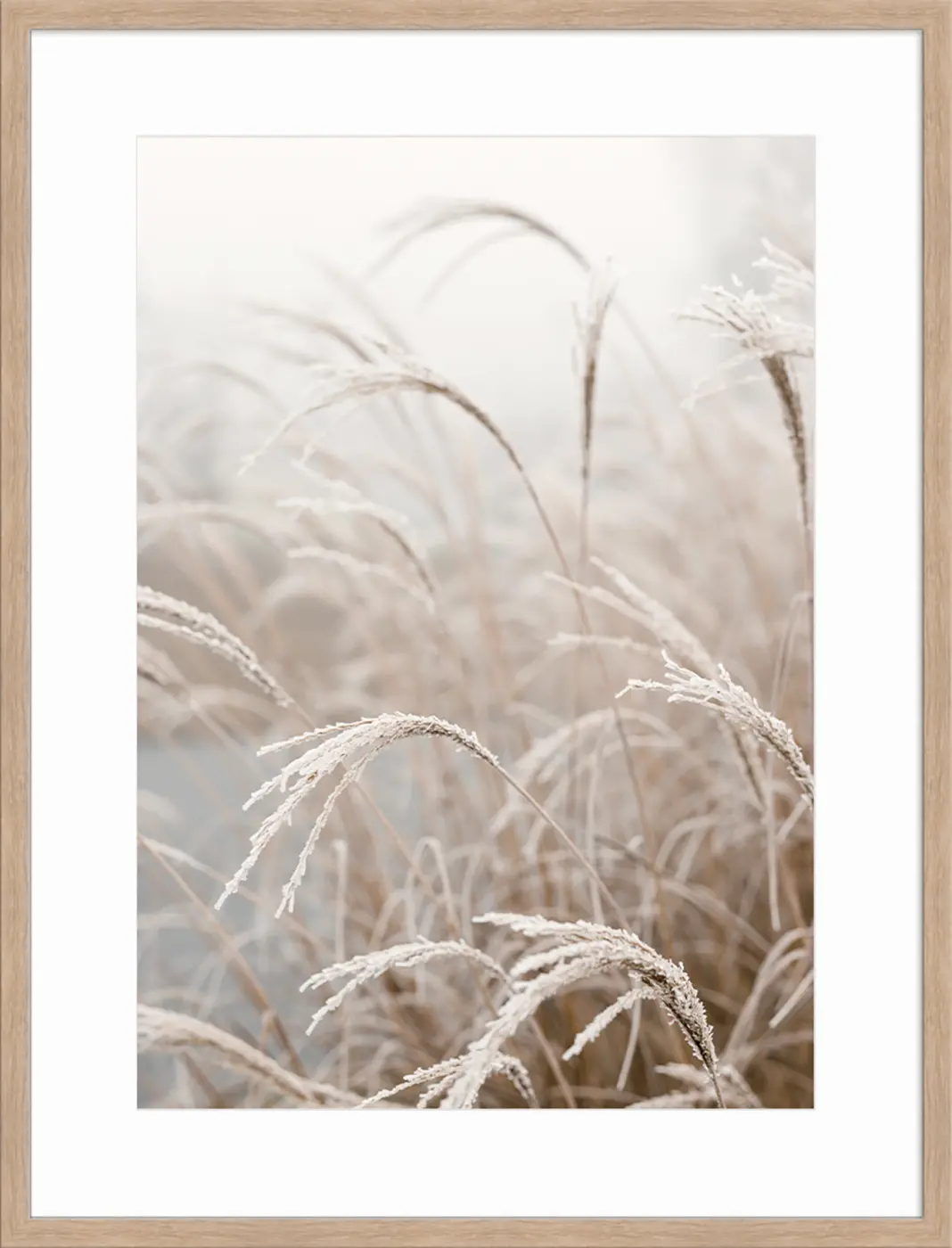ars graphica Individual-Art - Sence Photography: Listen...