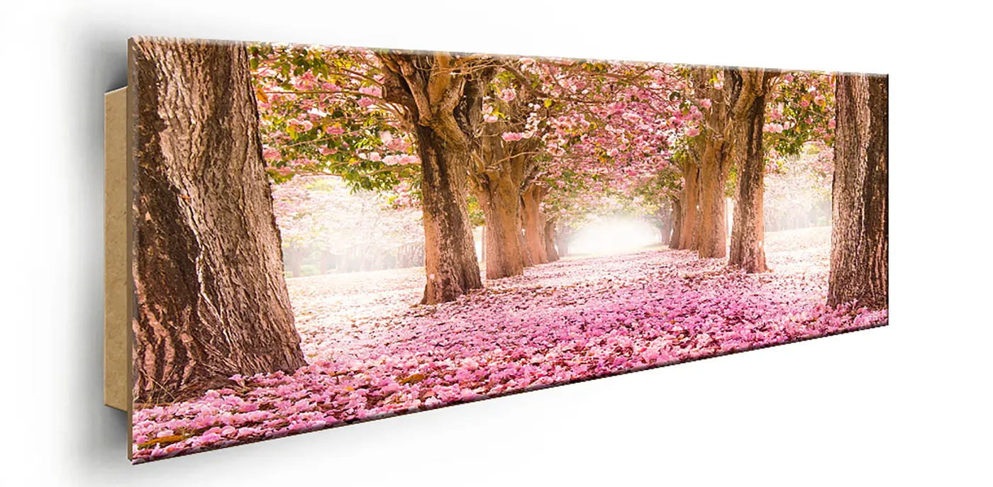 ars graphica Slim-Panel - Slim-Panel: Kirschblüten