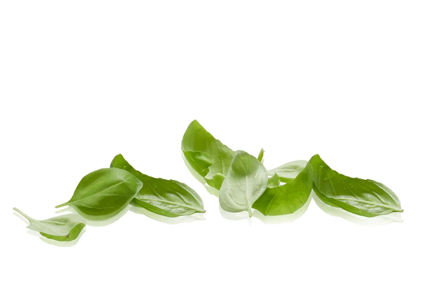GEFU Mörser GRINO, ø 7,7 cm