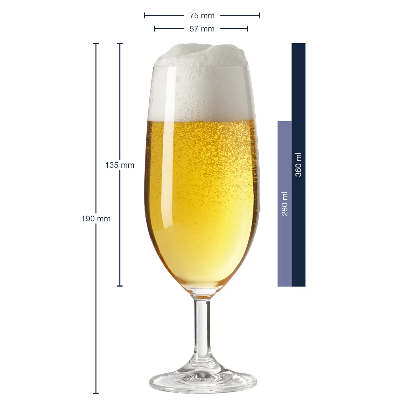 Leonardo Bierglas Daily 350 ml