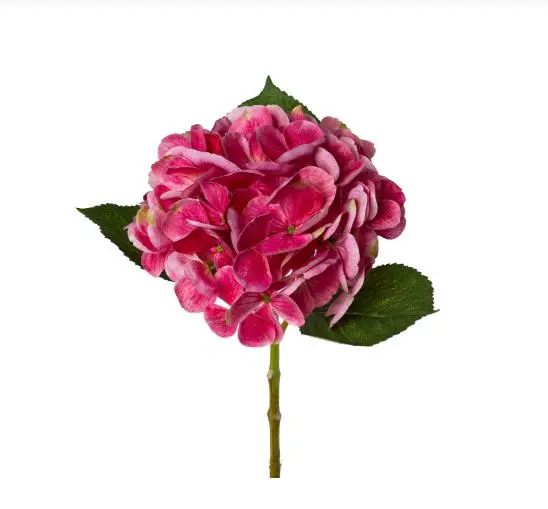 Gasper Hortensie  Lopez Pink 48 cm 