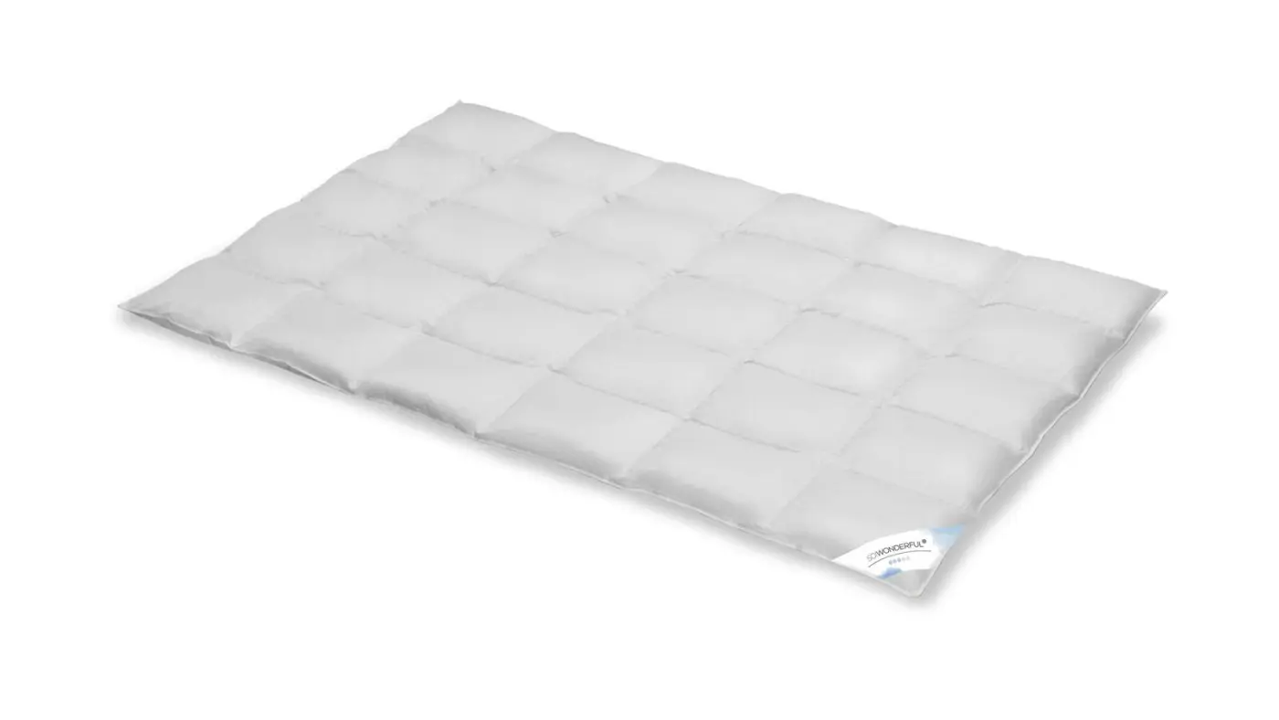 Spessarttraum Daunencassettendecke Premium Normal 200x200