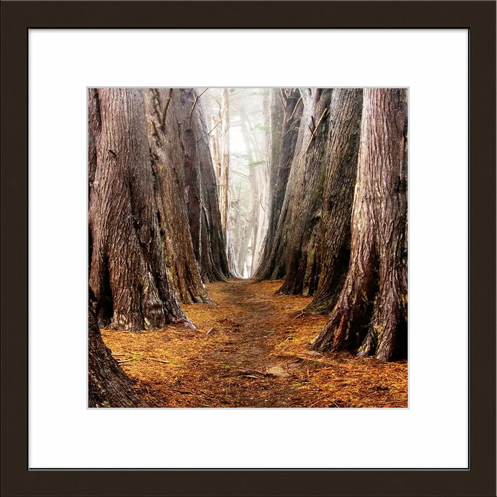 ars graphica Individual Art - Fotokunst: Autumn forest I