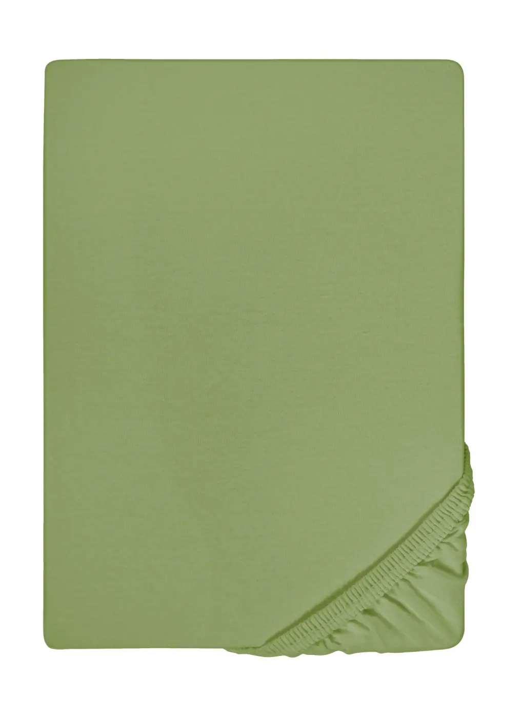 biberna Feinjersey-Spannbetttuch fichte 1x 90x190 cm - 100x200 cm