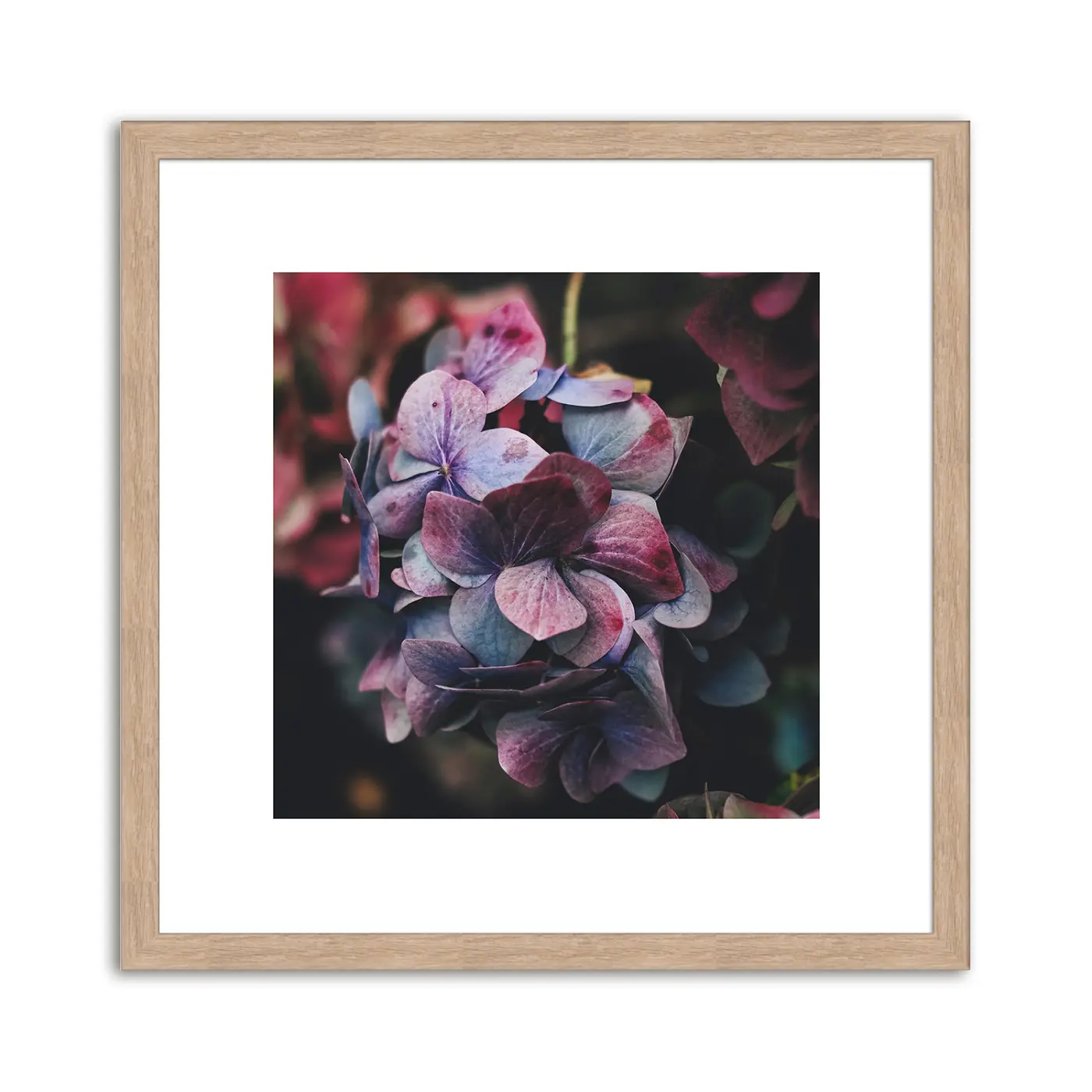 ars graphica Mini-Design - Mini-Design: Pink & Blue