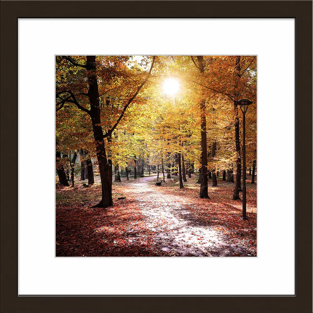 ars graphica Individual Art - Fotokunst: Autumn forest III