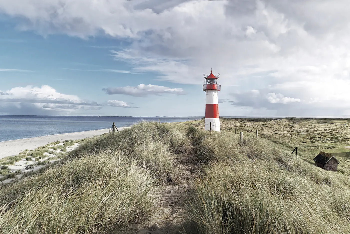 ars graphica Maxi-Panel - Maxi-Panel: Sylt