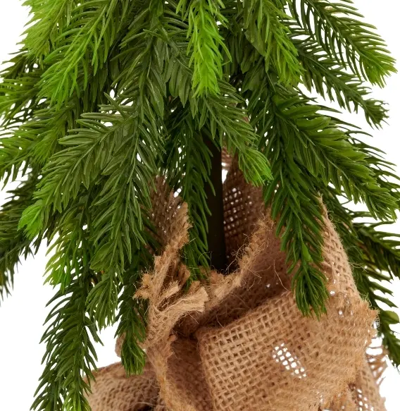 Gasper Tanne im Jutesack 37 cm