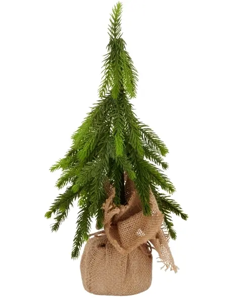 Gasper Tanne im Jutesack 45 cm