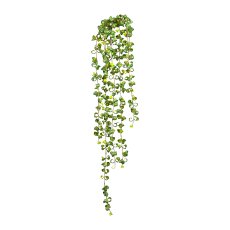 Ficus Barock Blatthänger 100cm