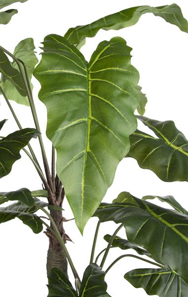 Alocasia Giant Tree H180cm Kunstpflanze