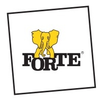 Forte S.A. 