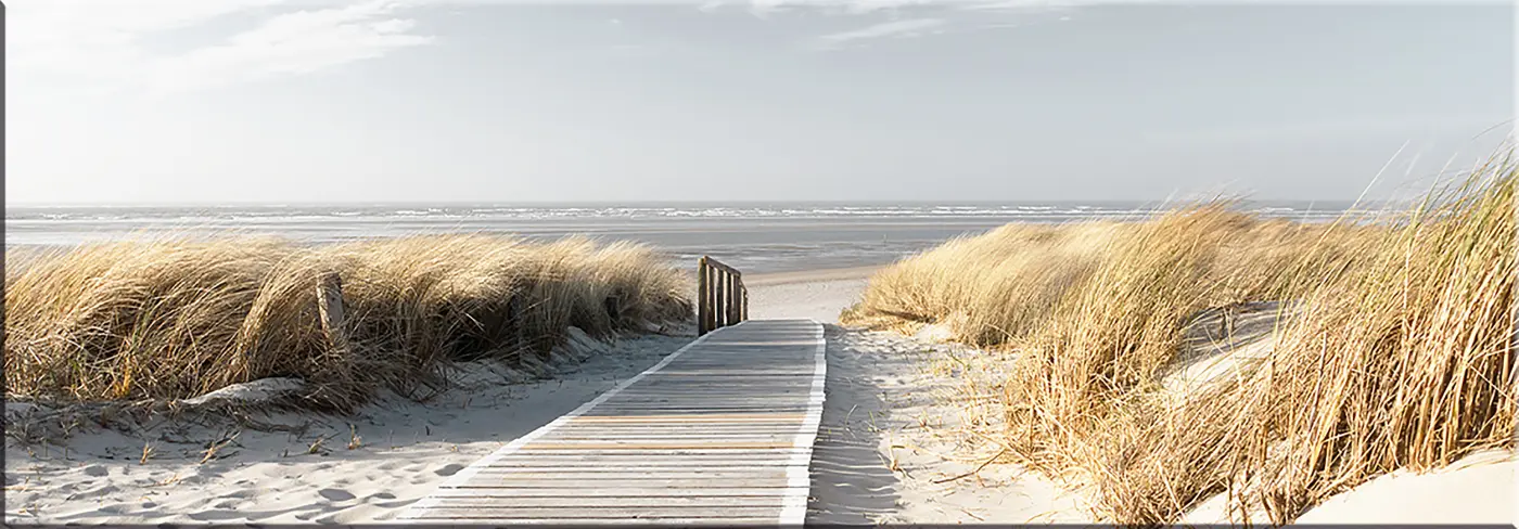 ars graphica XXL-Panel - XXL-Panel: Weg zum Meer