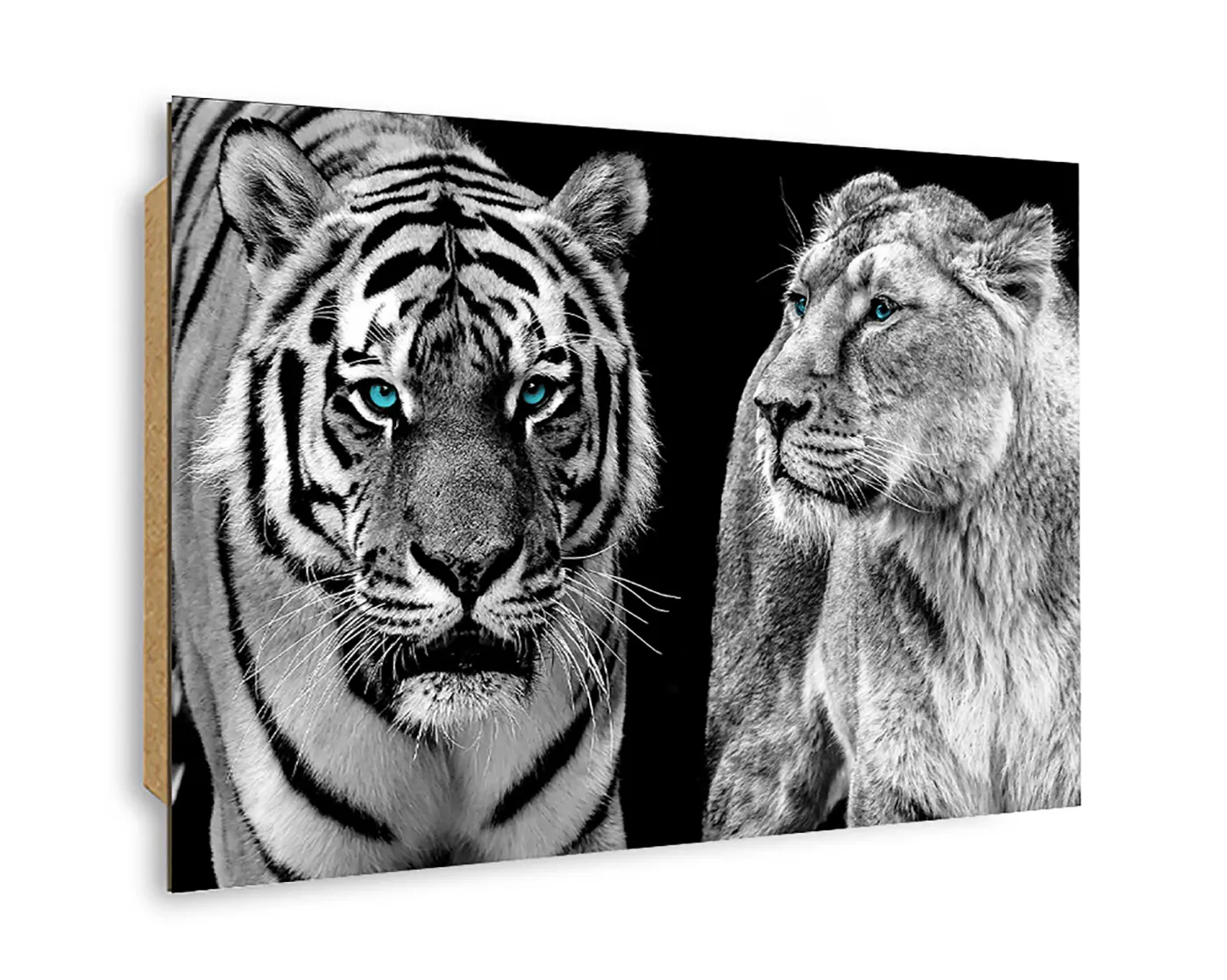 ars graphica Maxi-Panel - Maxi-Panel: Big cats