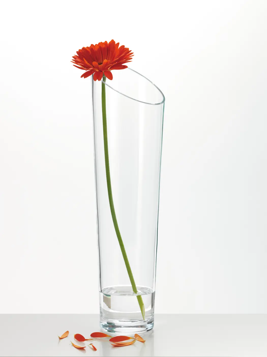 Leonardo Vase DYNAMIC 40 cm klar