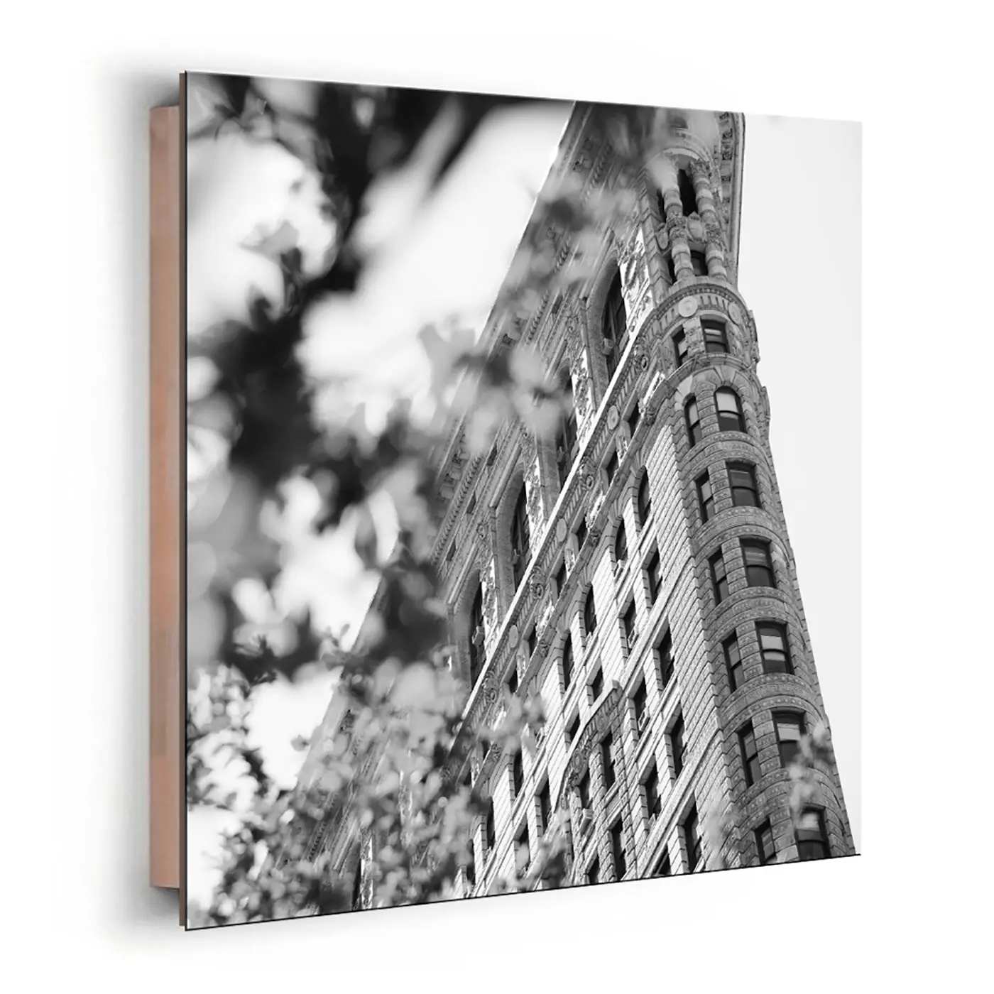 ars graphica Micro-Panel - Micro-Panel: Flat Iron Building