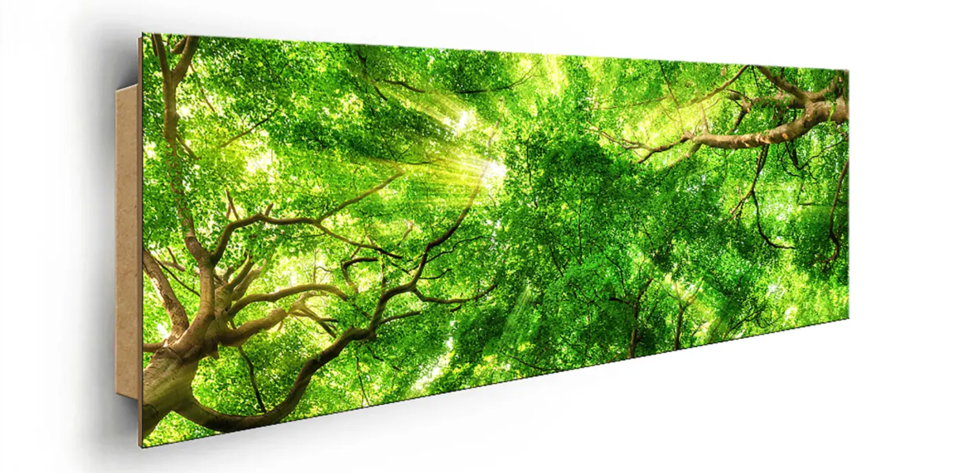ars graphica Panorama-Panel - Panorama-Panel: Baumkronen