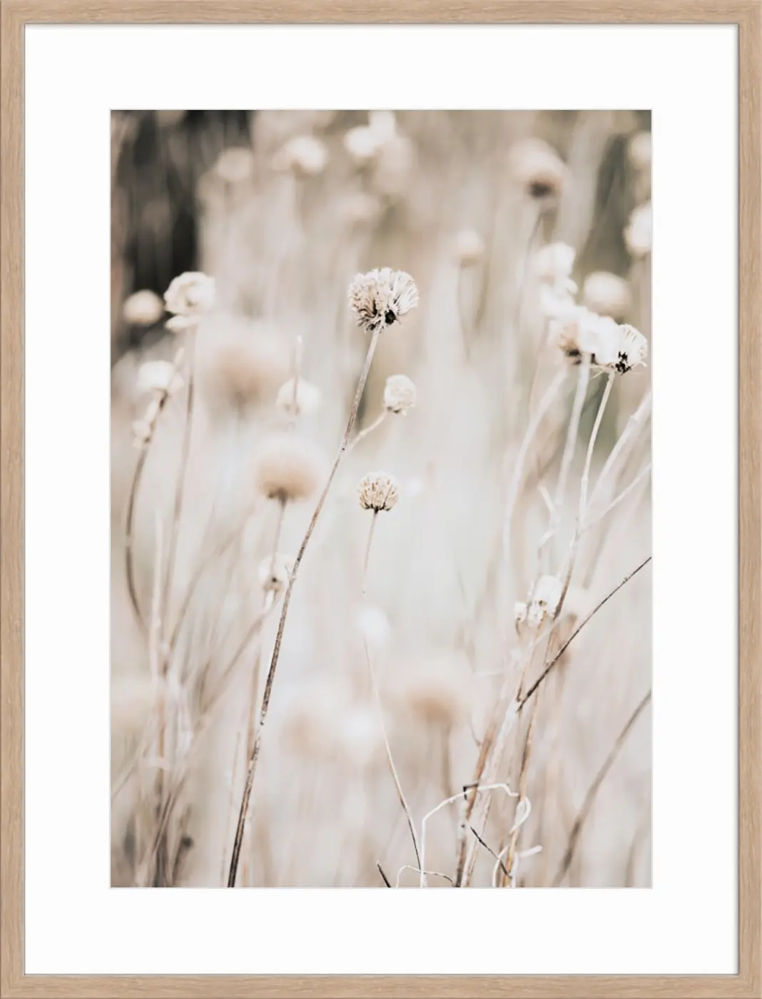 ars graphica Individual-Art - Sence Photography: Rustle