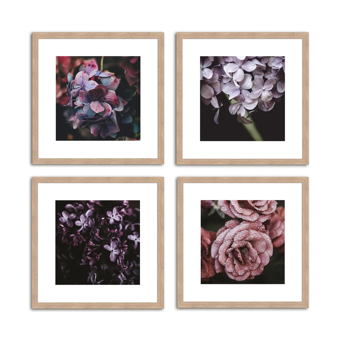 ars graphica Mini-Design - Mini-Design: Dark Purple