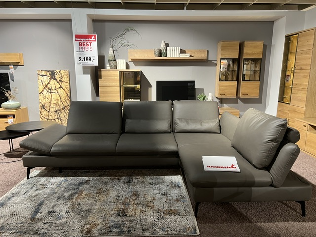 Polinova Garnitur MM-PN1183 aus grauem Leder, L-förmige Couch ohne Dekoelemente, im Ausstellungsraum.